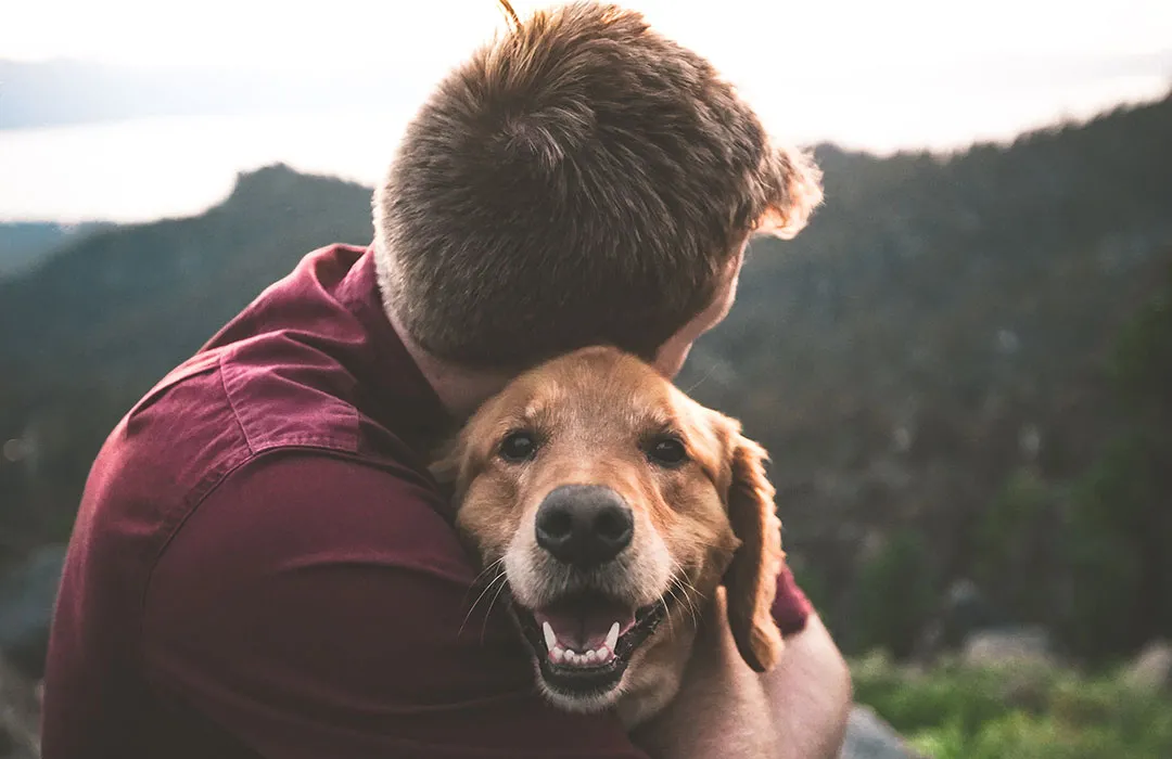Pet Loss Coach Training Online – A Guide to Helping Others Heal from Grief